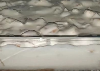 Receita da Delícia de Pêssego fresca e saborosa