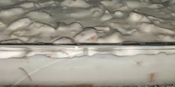 Receita da Delícia de Pêssego fresca e saborosa
