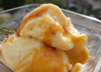 Receita do Gelado de Manga saudável