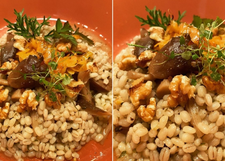 Receita do Cevadotto de Pleurotus e Nozes