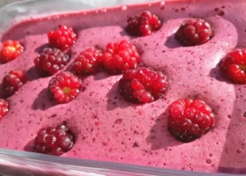 Receita do Gelado de Frutos Silvestres delicioso e saudável