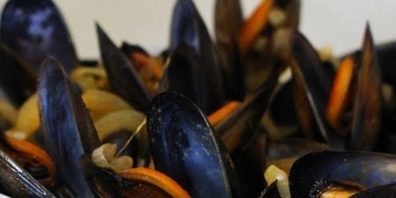 Faztáfood / Mexilhões de Caldeirada