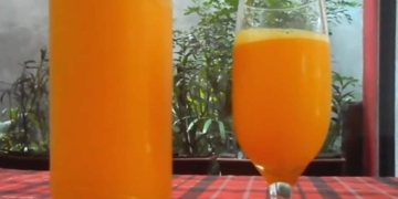 Receita do Refrigerante Natural de Laranja