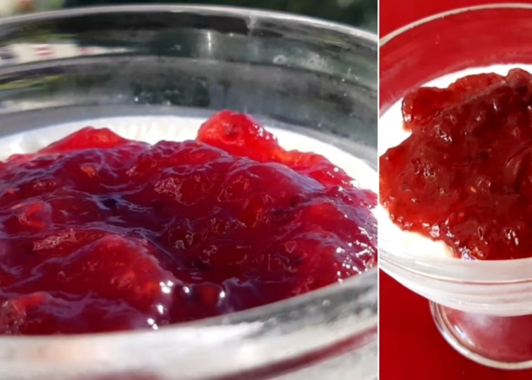 Receita de Panacota fácil e sem açúcar