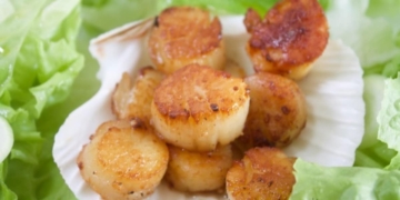 Receita de Vieiras