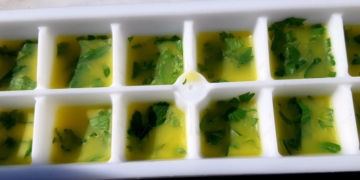 Dica para Conservar Ervas Aromáticas Frescas
