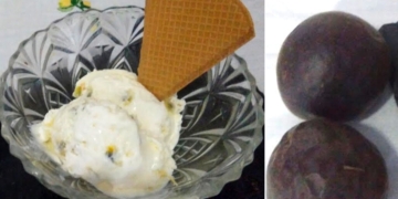 Receita do Gelado de Maracujá