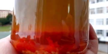 Receita do Molho de Piri-piri