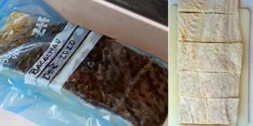 Dica para Congelar Bacalhau Demolhado corretamente