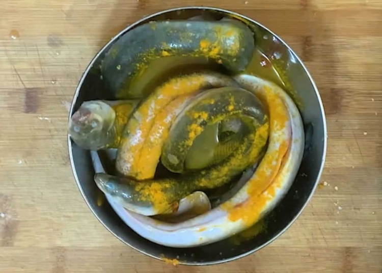 Receita da Marinada para Enguias