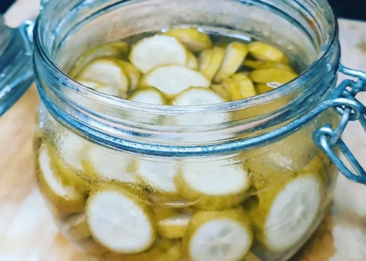 Receita de Pickles de Pepinos caseiro