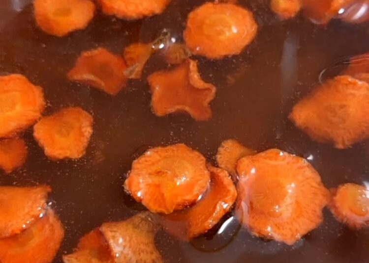 Receita do Xarope de Cenoura para a tosse
