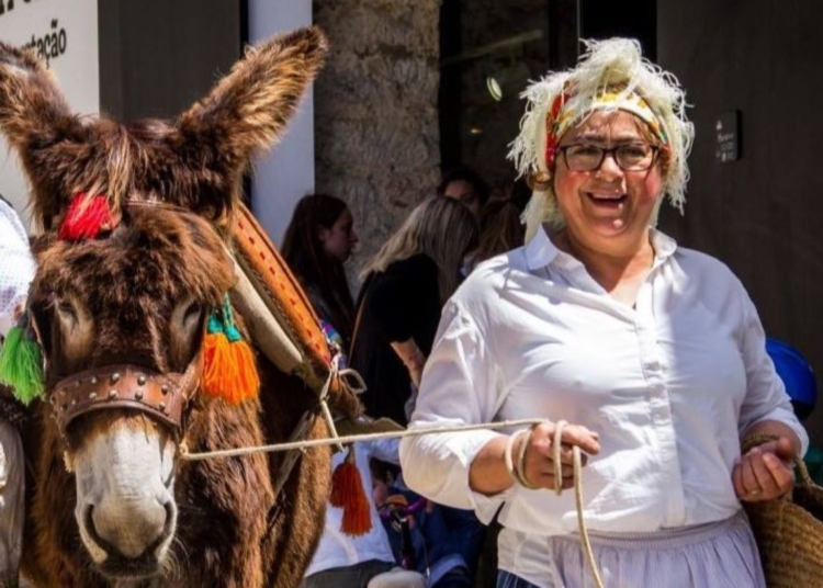 Burros vão desfilar na Baía de Cascais para promover Festa dos Maios