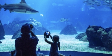 Oceanário Lisboa / Instagram, Oceanário Lisboa, Foto Pedro Pina