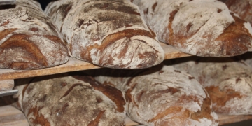 Está a chegar o Festival do Pão de Portugal, com sabores de norte a sul do país