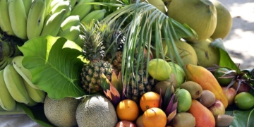 Festival dá a conhecer o que de melhor a Madeira oferece
