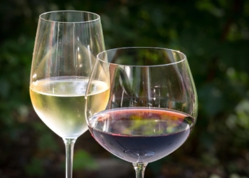 Feira de vinhos em Alijó pretende dar a conhecer “outro” Douro