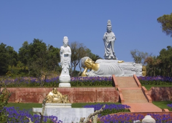 Vinho, Pêra Rocha e a serenidade no Bacalhôa Buddha Eden