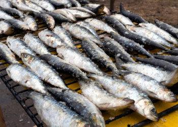 Sardinha Assada é rainha da festa em Famalicão