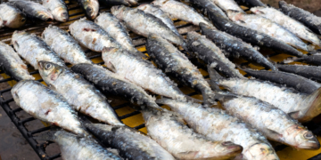 Sardinha Assada é rainha da festa em Famalicão