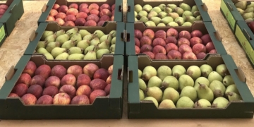 Pêra Rocha, maçã e muito mais para provar na Feira dos Frutos