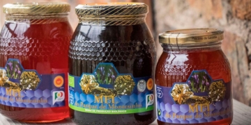 O Mel do Parque de Montesinho: Uma doçura da Natureza preservada