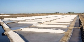Tavira em tons de sal: Descubra a beleza das Salinas