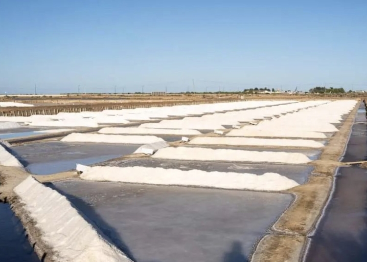 Tavira em tons de sal: Descubra a beleza das Salinas
