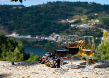 Vinho do Porto: Uma Viagem à história e caves