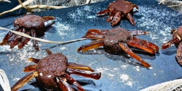 Receita das Trufas Aranhas para o Halloween