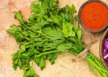 Salsa e Coentros sempre frescos: Saiba como os guardar no frigorífico