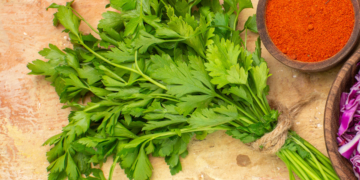 Salsa e Coentros sempre frescos: Saiba como os guardar no frigorífico