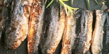 Receita de Cavala Grelhada