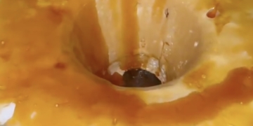 Receita fácil de Molotof