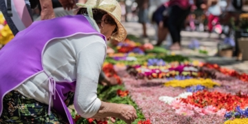 Descubra a Magia da Festa da Flor na Madeira